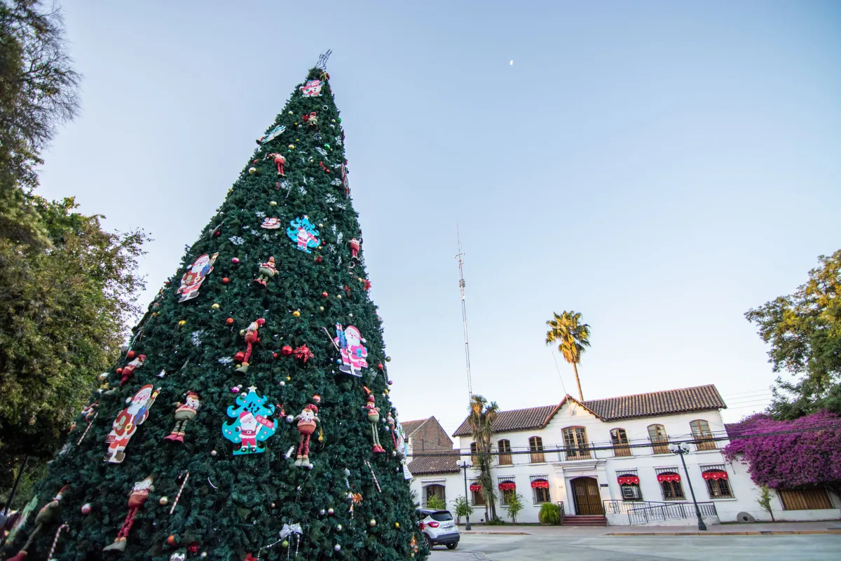 “El árbol de Navidad más caro de Chile”: Buin aprueba $76 millones para un nuevo árbol